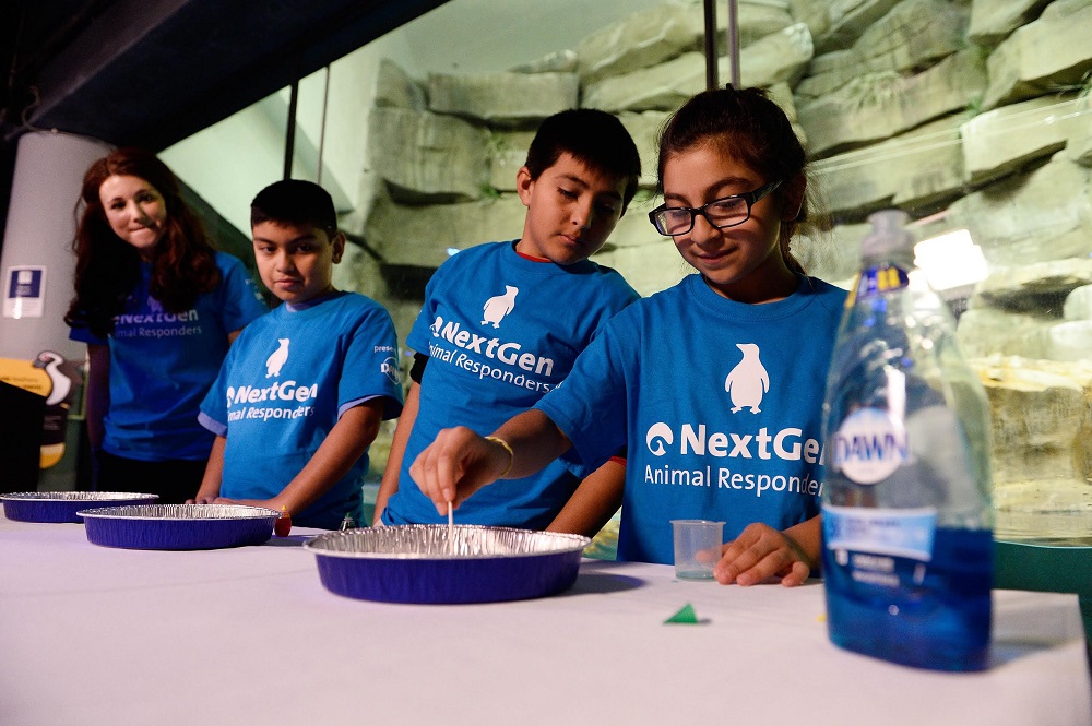 The NextGen Animal Responder Program at Shedd Aquarium with support from Dawn Dish Soap. Win a Shedd Aquarium Field Trip!